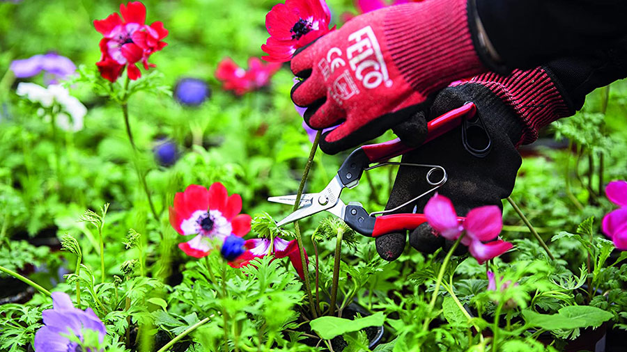 épinette Felco 320, 321 et 322 épinette Felco 320, 321 et 322